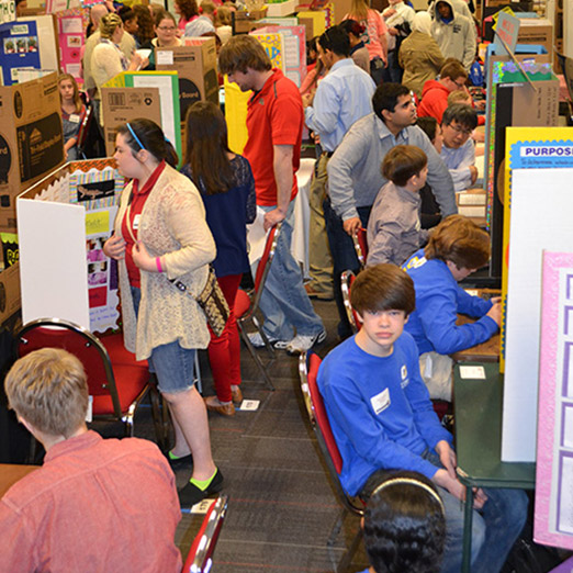 MS Science and Engineering Fair - Lower Fair