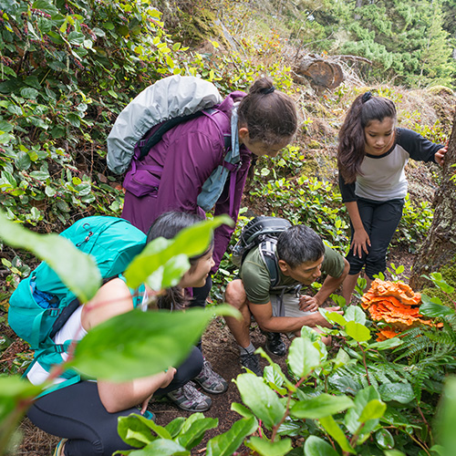 Young Naturalist Workshop