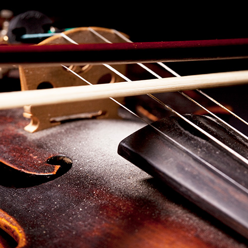 String Workshop
