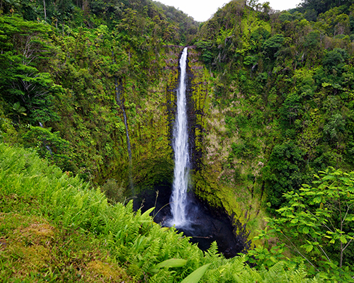 Majestic Akaka Falls waterfall located on Kolekole Stream on the Big Island of Hawaii