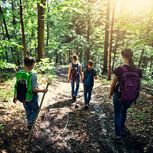 four teens walking wooded trail wearing backpacks