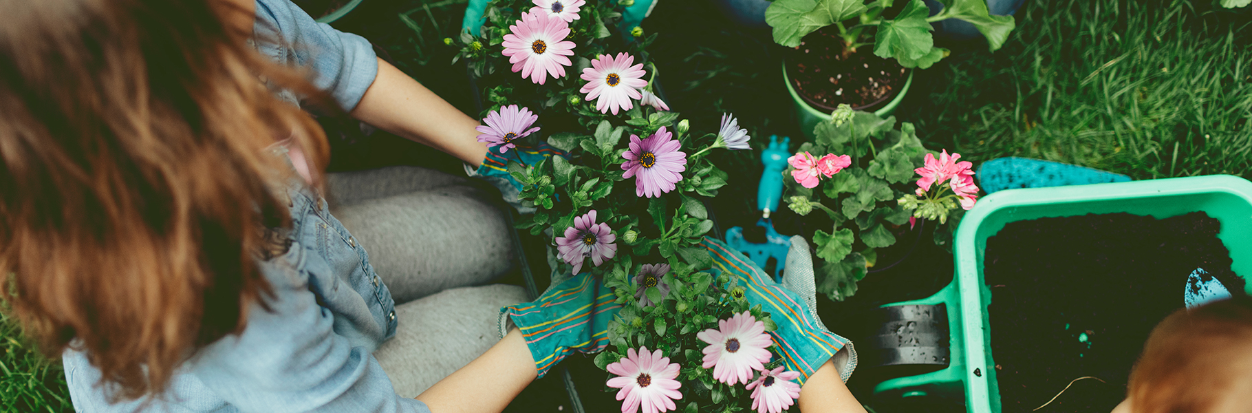 organic gardening