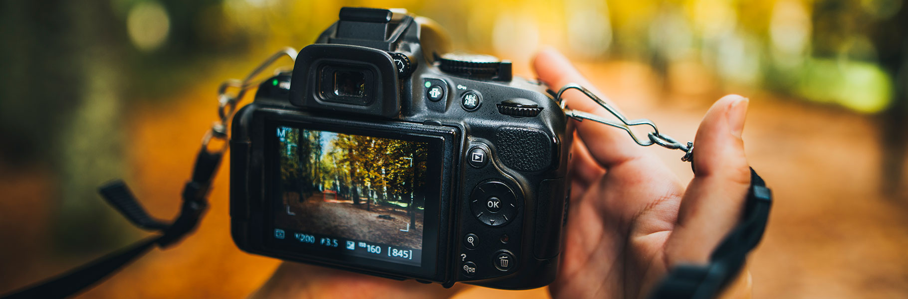 hands holding digital camera after taking shot