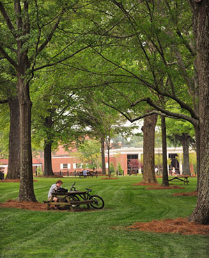 SCHS students in the grove