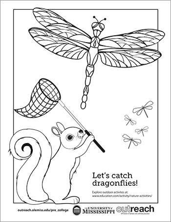 dragonfly coloring sheet