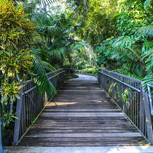 Photo of zoo walkway