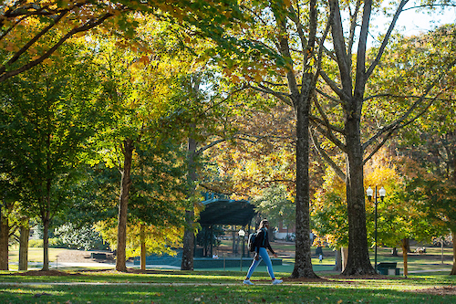 Student walking through the Grove with beautiful fall foliage