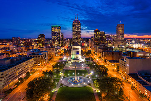 View of Saguaro Cactus near Portal Arizona