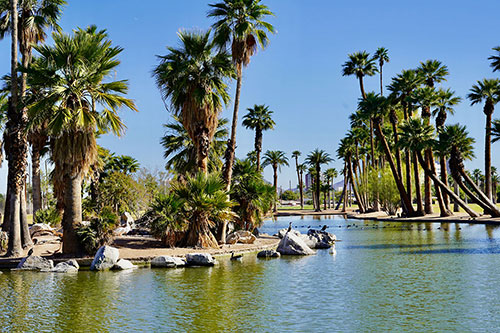 View of Encanto Park, Phoenix, with variety of birds, ducks and geese and the city and mountains in the distance.