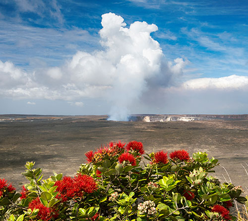 Hilo and Volcano, Hawaii