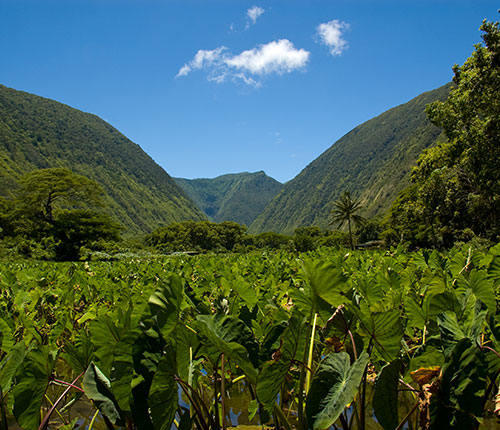 Mountains in Hawaii