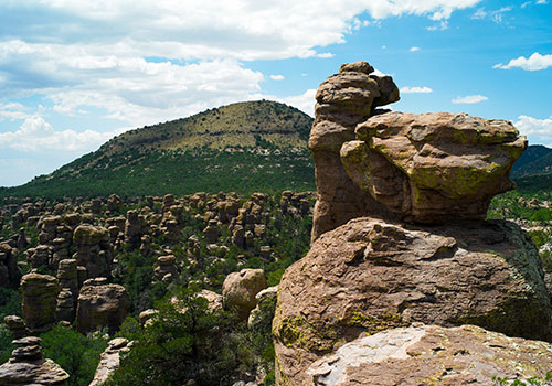 Portal, Arizona