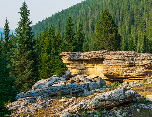 A quiet rock sits in a patch of sunshine in the Bighorn National Forest, Wyoming